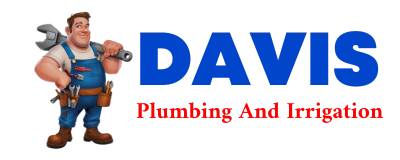 Trusted plumber in DACOMA